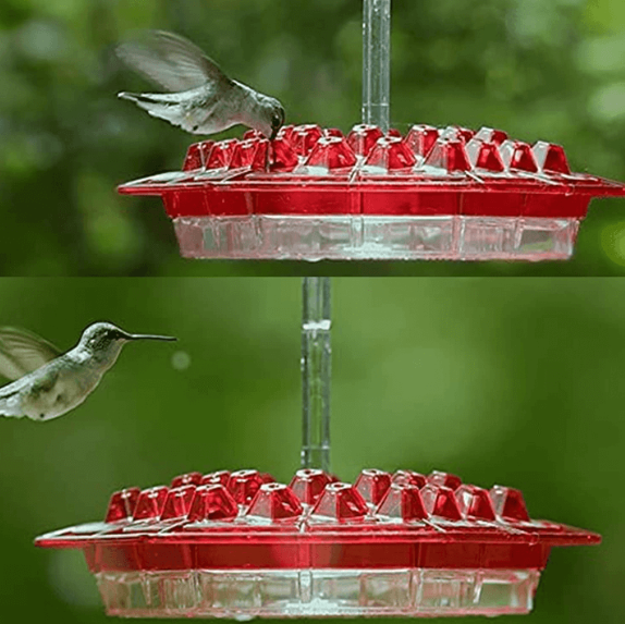 Bloomfeed - Hängende Nektar-Futterstation