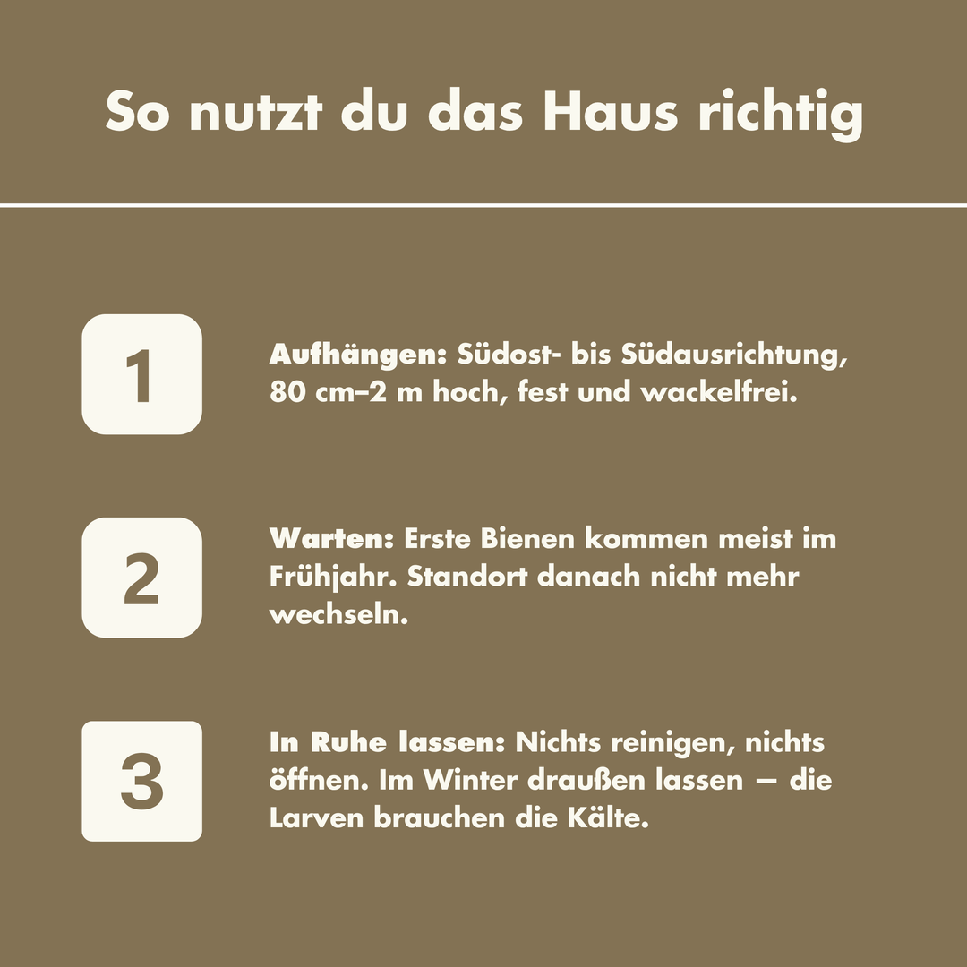 Buzzio - Hängendes Insektenhaus