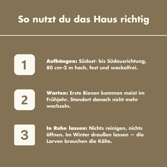 Buzzio - Hängendes Insektenhaus