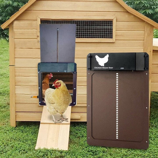 CoopGuardPro - Automatische Hühnerstalltür Decorique.de