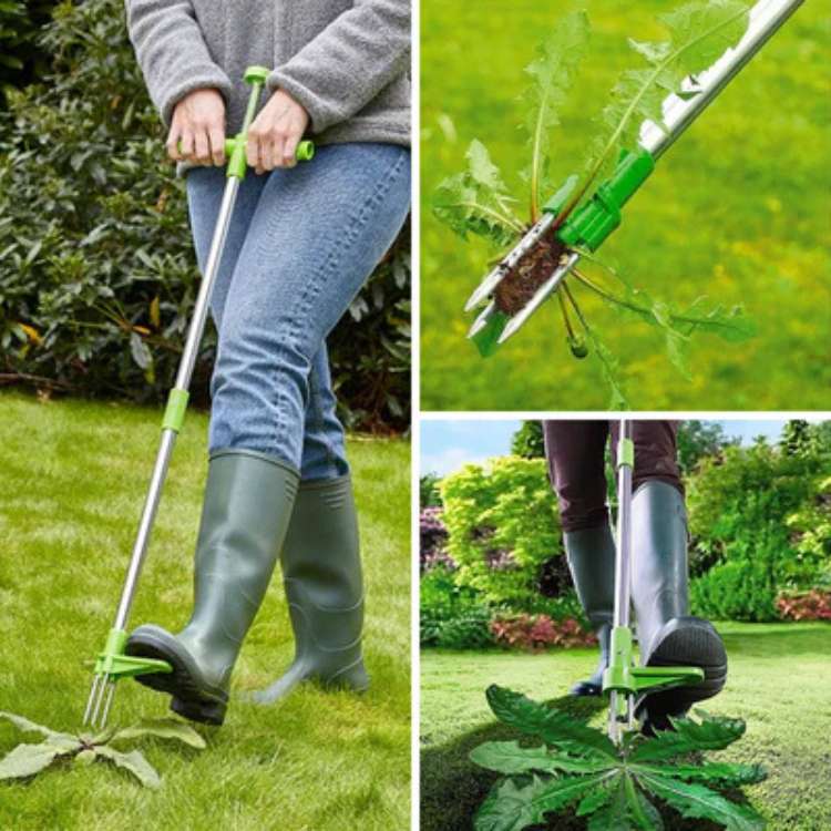 RootGrip - Aufrechter Unkrautstecher Mit Drehmechanik