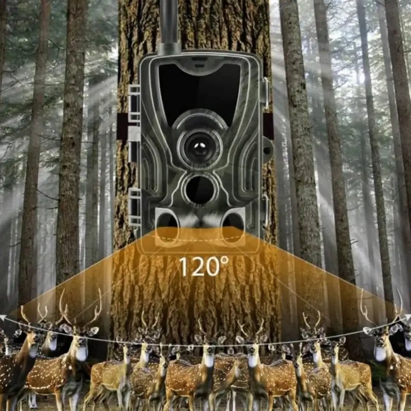 WildWatch - Kompakte Wildkamera Mit Integriertem Display