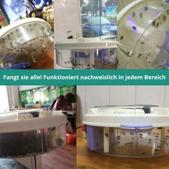 BuzzOff | FliegenFrei – Die weltbeste Fliegenfalle Decorique.de