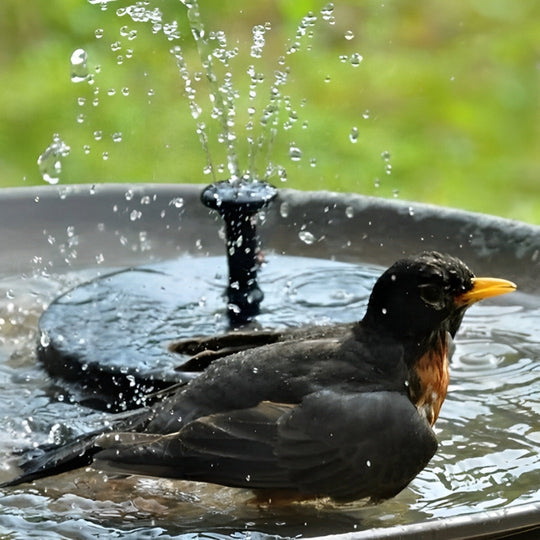 EcoFountain | Outdoor Solar-Wasserbrunnen Decorique.de