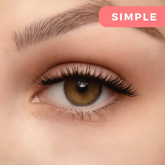 LashLines | Magnetische Wimpern Einfach Decorique.de