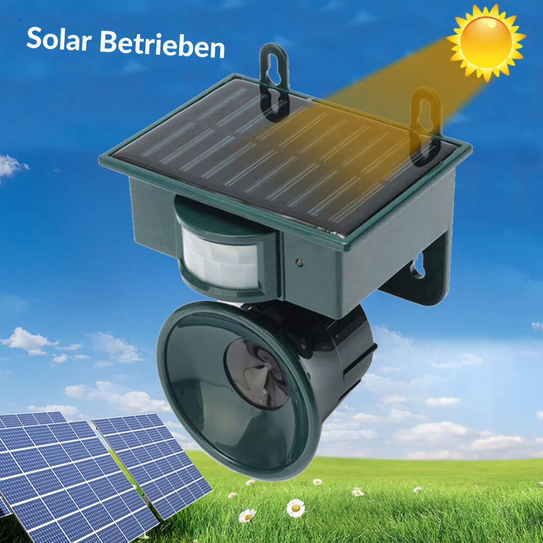 TerraGuard | Wetterfester Vogelvertreiber mit PIR & Solarenergie Decorique.de