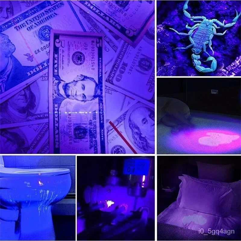 UVGuard | UV-Taschenlampe zur Bettwanzen-Erkennung und Fleckenfinder Decorique.de