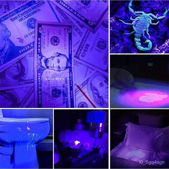 UVGuard | UV-Taschenlampe zur Bettwanzen-Erkennung und Fleckenfinder Decorique.de